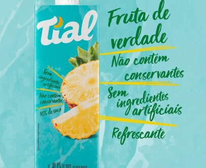 Suco Abacaxi Tial 1L